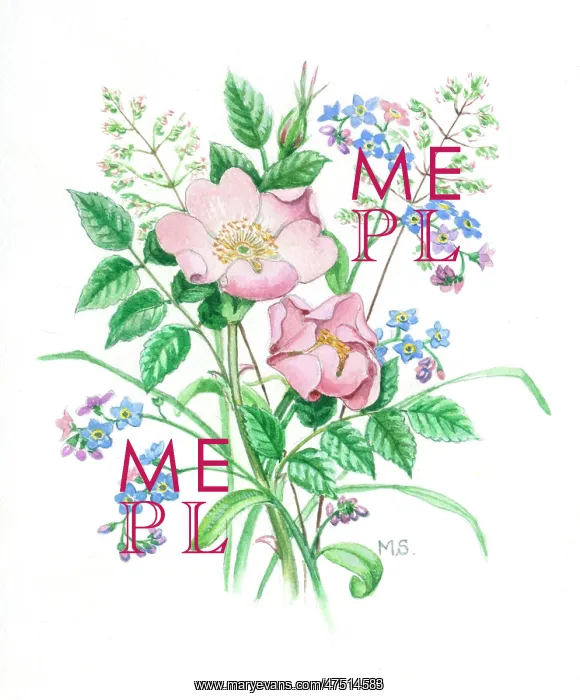  : Forget-me-nots and wild roses