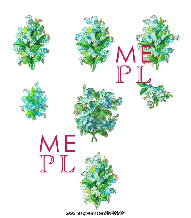 : Forgetmenots on seven Victorian scraps : Forgetmenots on seven Victorian scraps