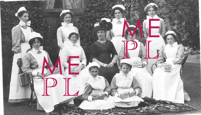 : Formal group of ten nurses with collecting boxes, and lady : Formal group of ten nurses with collecting boxes, and lady