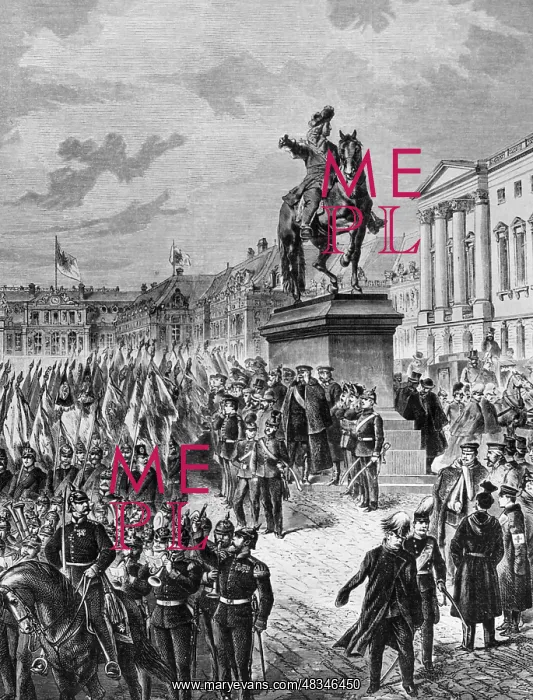 : Formation for the proclamation of the Emperor in Versailles : Formation for the proclamation of the Emperor in Versailles
