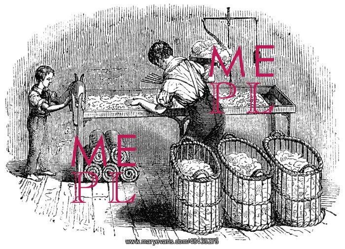 : Forming cotton into laps so that it could be : Forming cotton into laps so that it could be