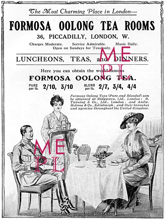 : Formosa Oolong Tea Rooms advertisement, 1916 : Formosa Oolong Tea Rooms advertisement, 1916