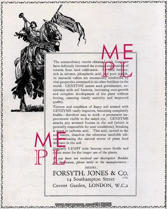 : Forsyth, Jones and Co Advertisement : Forsyth, Jones and Co Advertisement