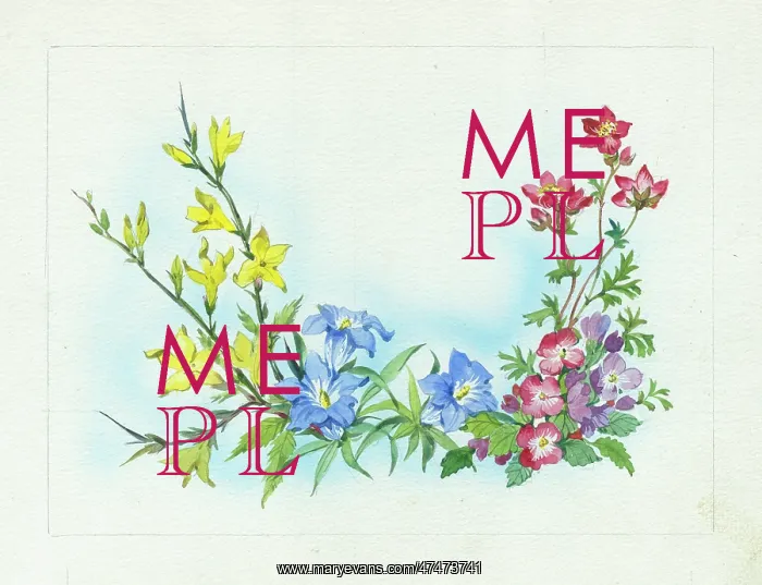  : Forsythia, gentians and geraniums