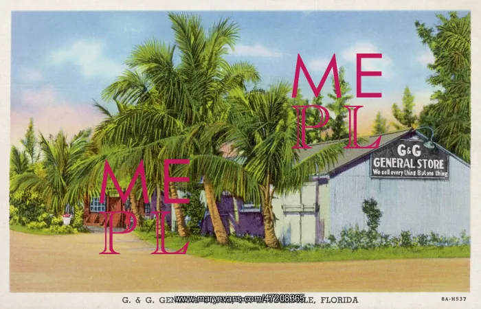 : FORT LAUDERDALE STORE : FORT LAUDERDALE STORE
