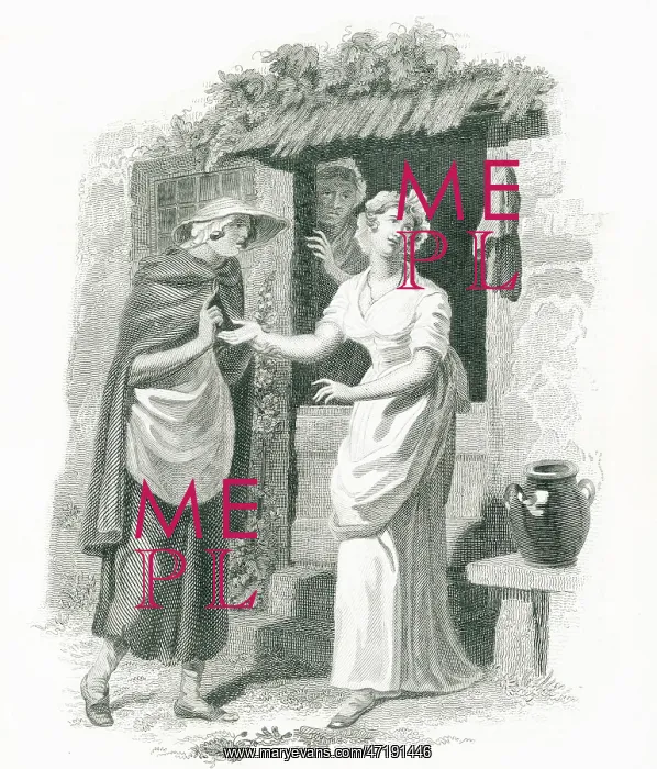 : FORTUNE TELLER : FORTUNE TELLER