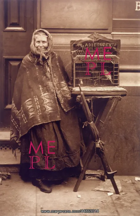  : FORTUNE TELLER & BIRD