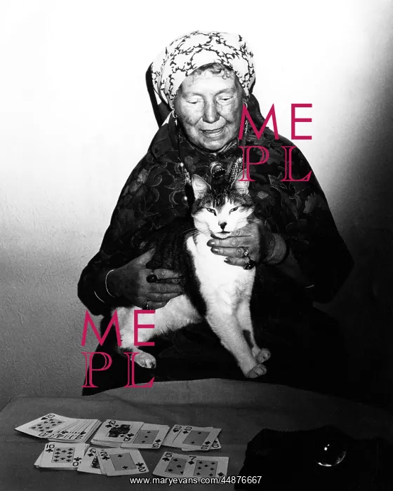 : FORTUNE TELLER & CAT : FORTUNE TELLER & CAT
