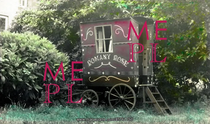 : Fortune Teller's Caravan - Romany Rose : Fortune Teller's Caravan - Romany Rose
