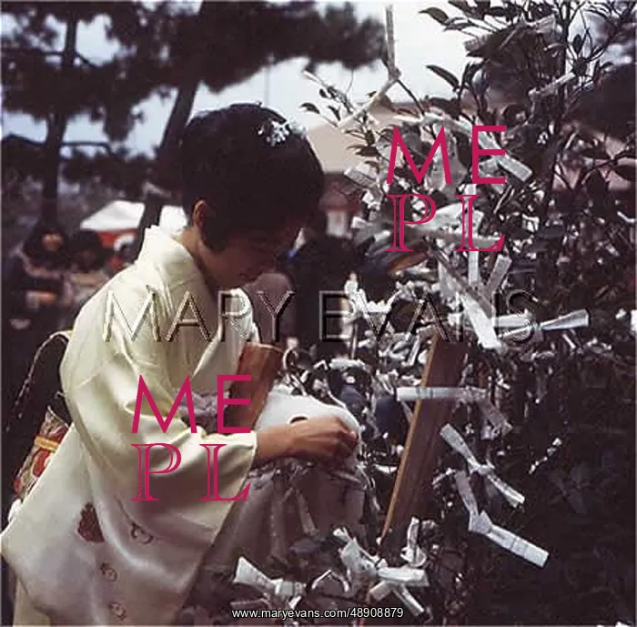 : FORTUNE TELLING 1975 : FORTUNE TELLING 1975