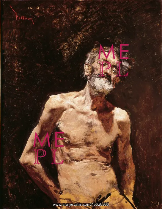 : FORTUNY, MARIANO (1838-1874). THE : FORTUNY, MARIANO (1838-1874). THE
