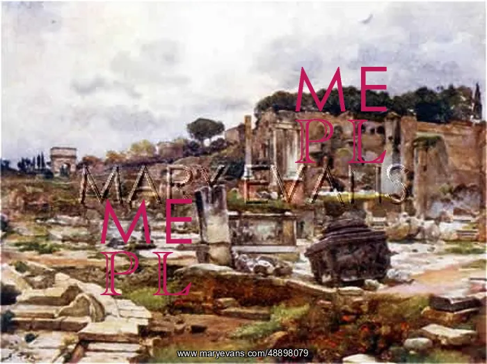 : THE FORUM, ROME / 1905 : THE FORUM, ROME / 1905