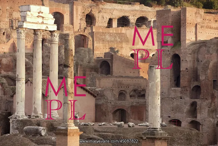 : Forum, Rome, Italy : Forum, Rome, Italy