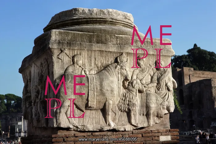 : Forum, Rome, Italy : Forum, Rome, Italy