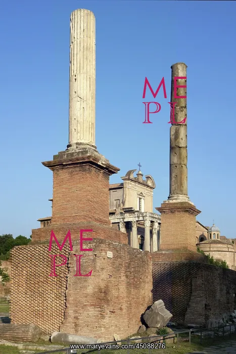: Forum, Rome, Italy : Forum, Rome, Italy