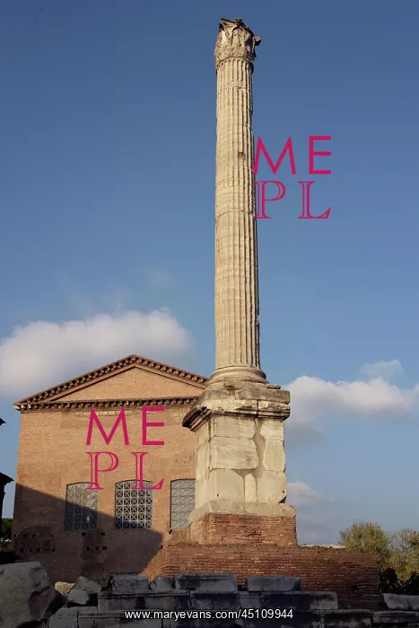 : Forum, Rome, Italy : Forum, Rome, Italy