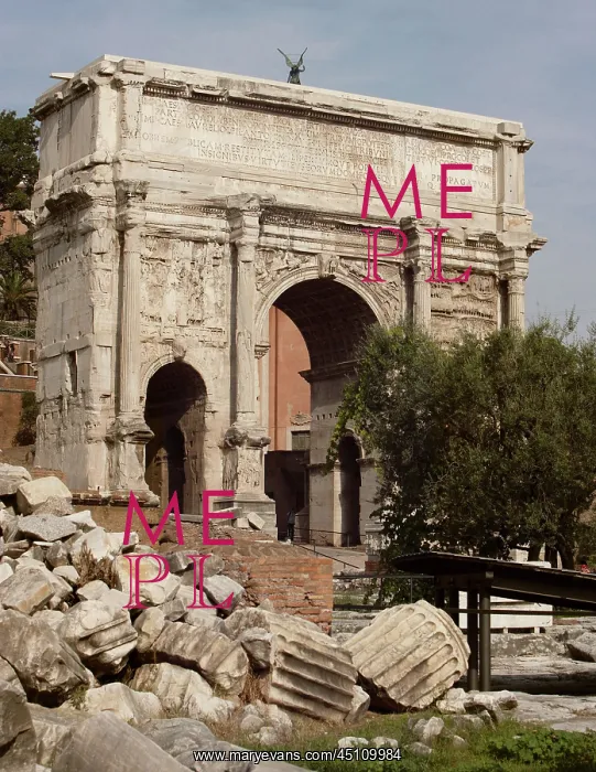 : Forum, Rome, Italy : Forum, Rome, Italy
