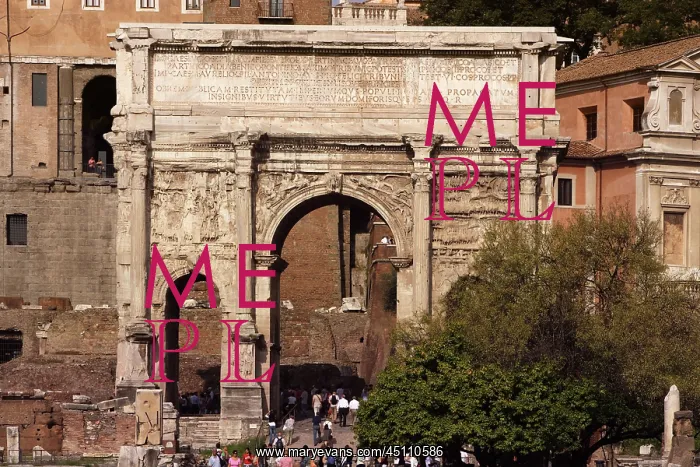 : Forum, Rome, Italy : Forum, Rome, Italy