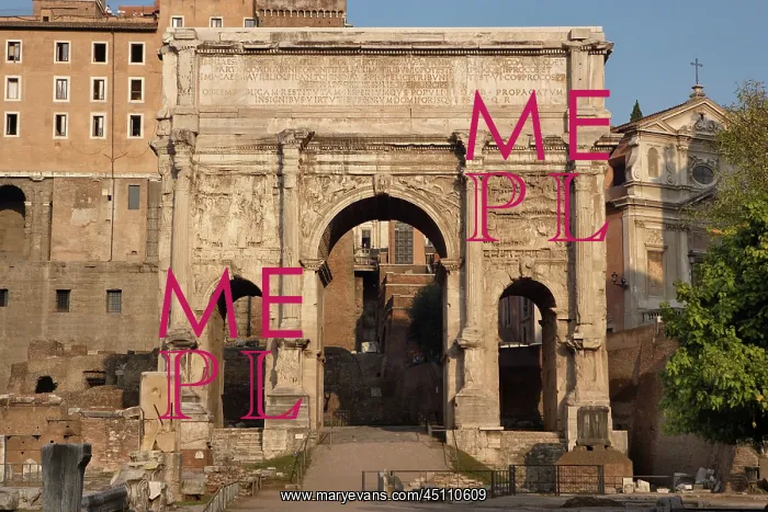 : Forum, Rome, Italy : Forum, Rome, Italy