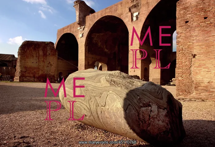 : Forum, Rome, Italy : Forum, Rome, Italy
