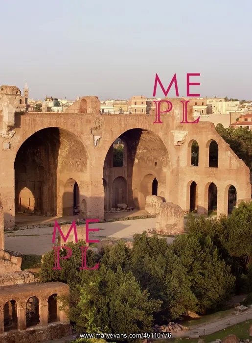 : Forum, Rome, Italy : Forum, Rome, Italy