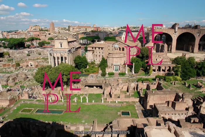 : The Forum, Rome, Italy : The Forum, Rome, Italy