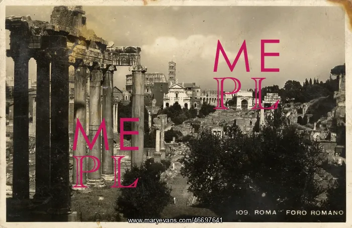  : The Forum, Rome, Italy