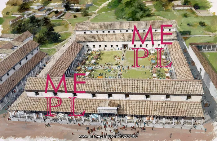 : The forum at Wroxeter : The forum at Wroxeter