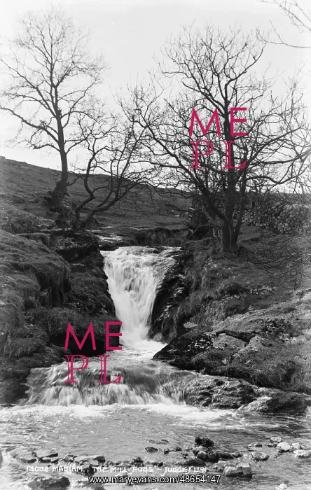 : The Mill Foss : The Mill Foss