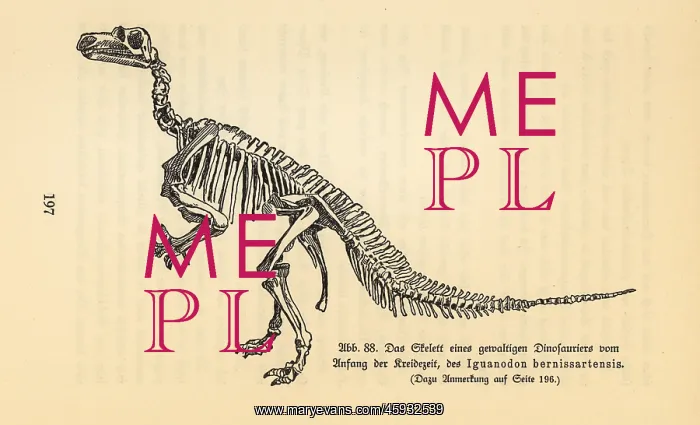 : Fossil skeleton of an extinct Iguanodon bernissartensis : Fossil skeleton of an extinct Iguanodon bernissartensis
