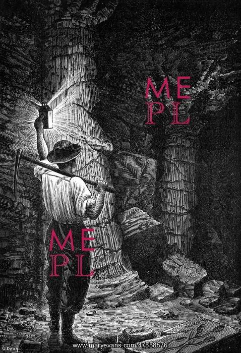 : Fossil trees in coal mine : Fossil trees in coal mine