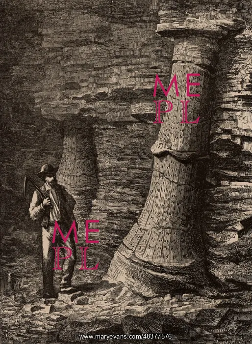 : Fossilised tree trunks in Treuil coal mine, St : Fossilised tree trunks in Treuil coal mine, St