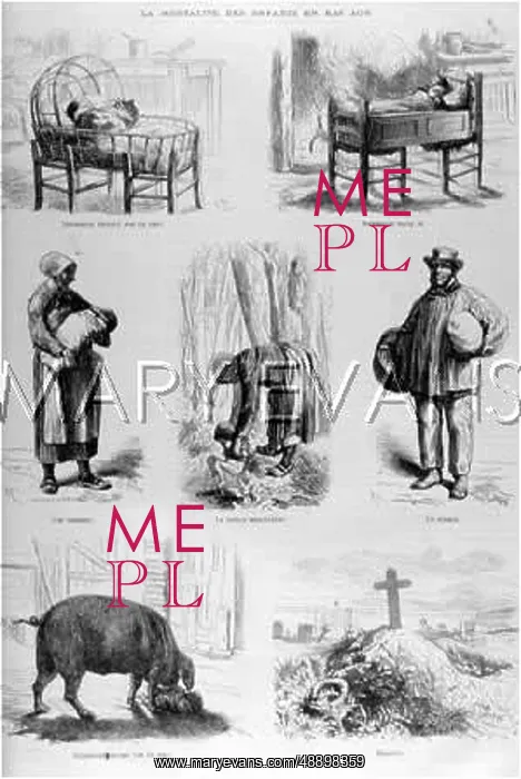 : FOSTERING, FRANCE (2) : FOSTERING, FRANCE (2)