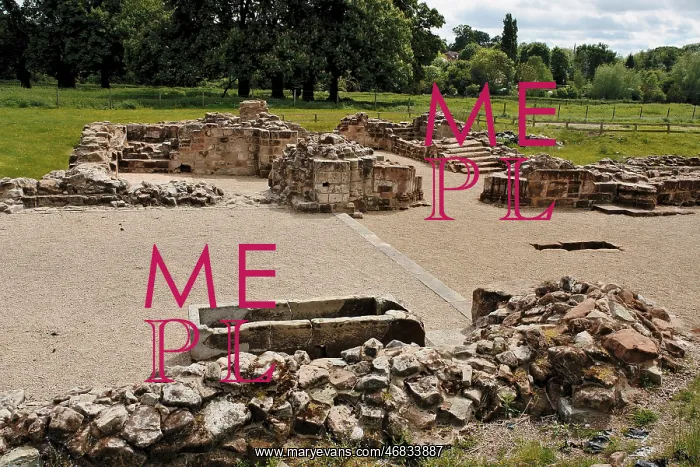 : Foundations of Bordesley Abbey, Redditch, Worcestershire : Foundations of Bordesley Abbey, Redditch, Worcestershire