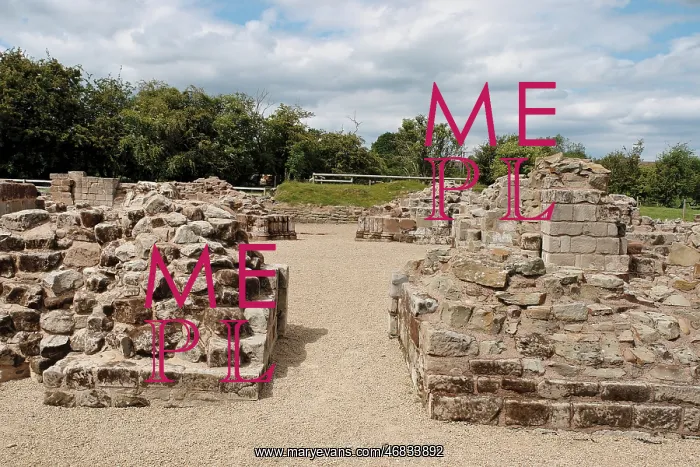 : Foundations of Bordesley Abbey, Redditch, Worcestershire : Foundations of Bordesley Abbey, Redditch, Worcestershire
