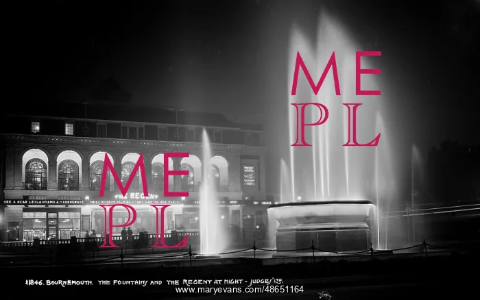 : The Fountain and The Regent at Night : The Fountain and The Regent at Night