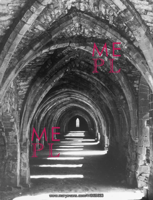 : FOUNTAINS ABBEY : FOUNTAINS ABBEY