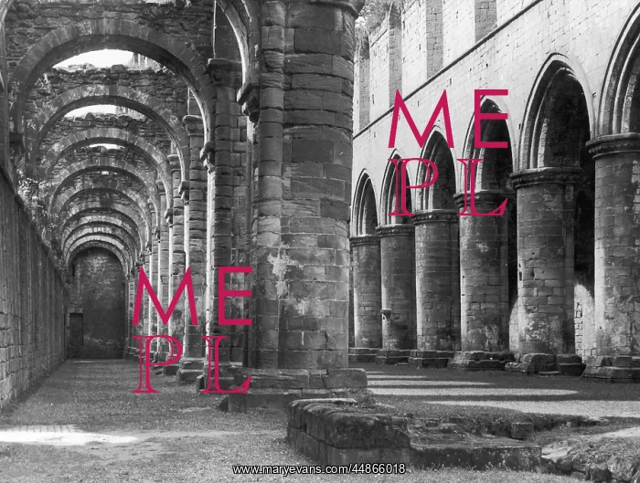 : FOUNTAINS ABBEY : FOUNTAINS ABBEY