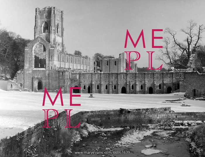 : FOUNTAINS ABBEY : FOUNTAINS ABBEY