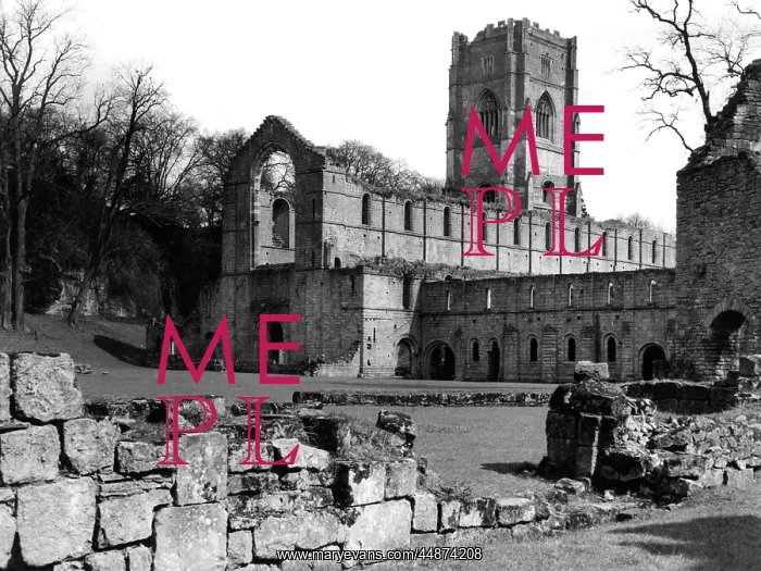 : FOUNTAINS ABBEY : FOUNTAINS ABBEY
