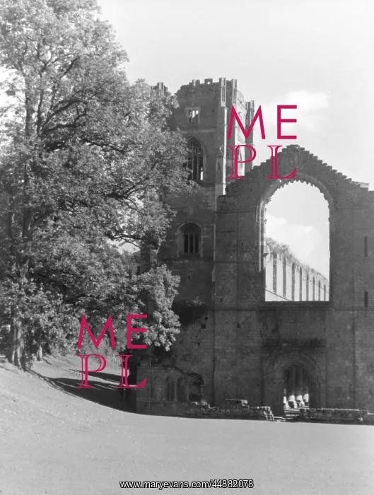 : FOUNTAINS ABBEY : FOUNTAINS ABBEY