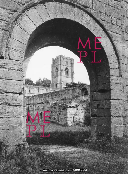 : FOUNTAINS ABBEY : FOUNTAINS ABBEY