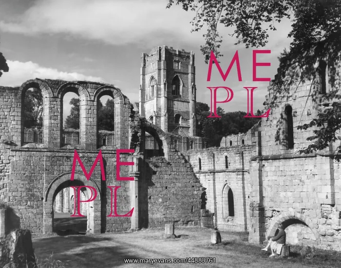 : FOUNTAINS ABBEY : FOUNTAINS ABBEY