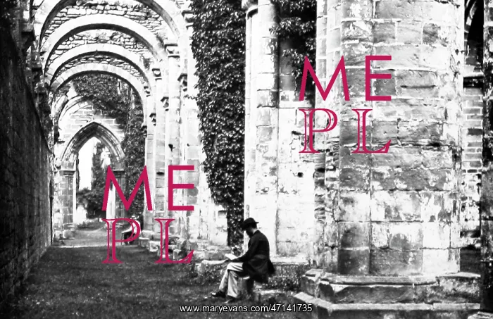  : Fountains Abbey