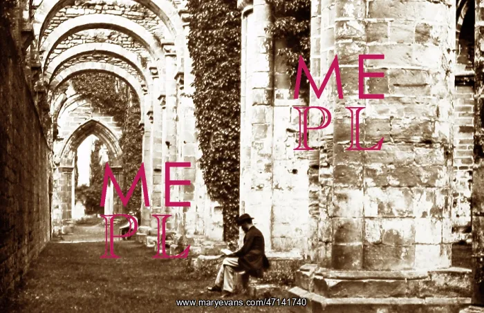  : Fountains Abbey