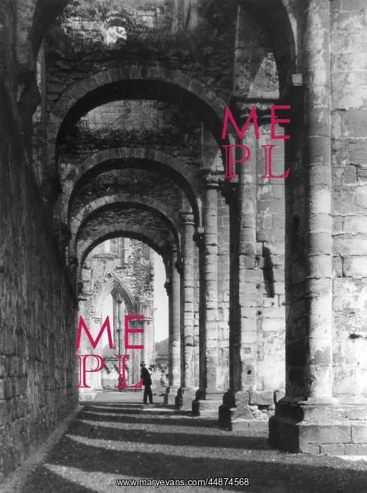 : FOUNTAINS ABBEY AISLE : FOUNTAINS ABBEY AISLE