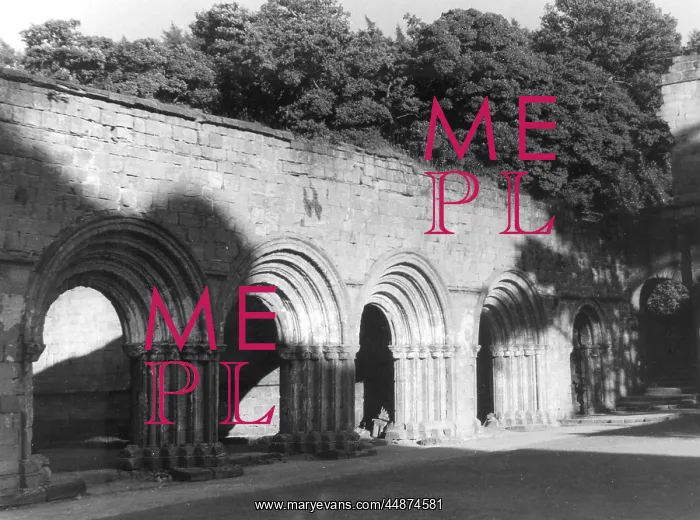 : FOUNTAINS ABBEY ARCHES : FOUNTAINS ABBEY ARCHES