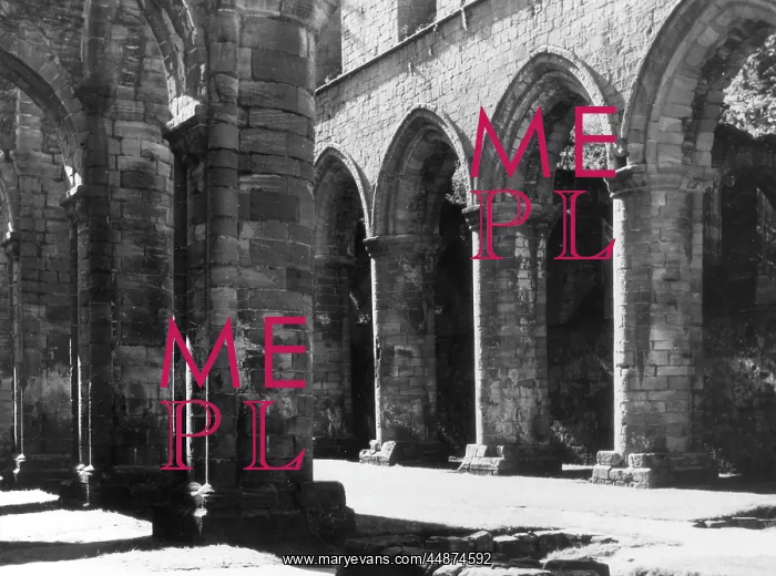: FOUNTAINS ABBEY NAVE : FOUNTAINS ABBEY NAVE