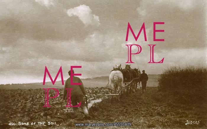 : Four-horse Ploughing team at work - South Downs, East Sussex : Four-horse Ploughing team at work - South Downs, East Sussex
