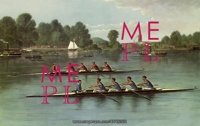  : A Four-Oared Shell Race